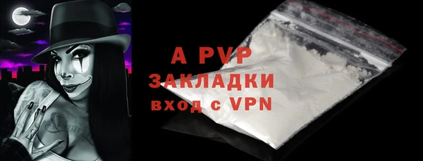 твердый Михайлов