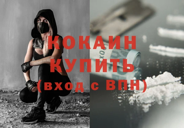твердый Михайлов