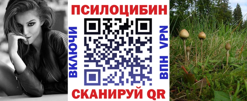 закладки  Исилькуль  shop Telegram  Галлюциногенные грибы мицелий 