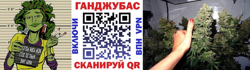 гидра tor  Исилькуль  Бошки Шишки планчик 